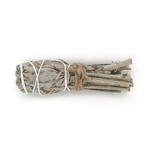 Sage smudge bulb