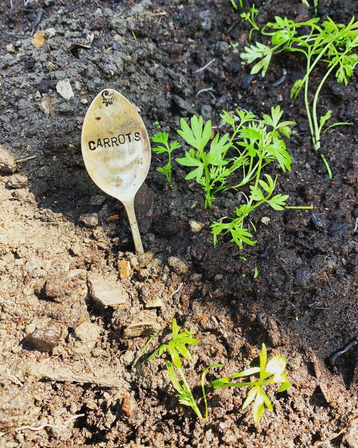 Personalised Spoons!