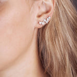 Stars ear climber