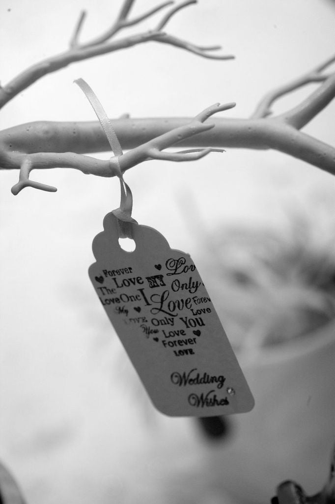 Wishing Tree Tags
